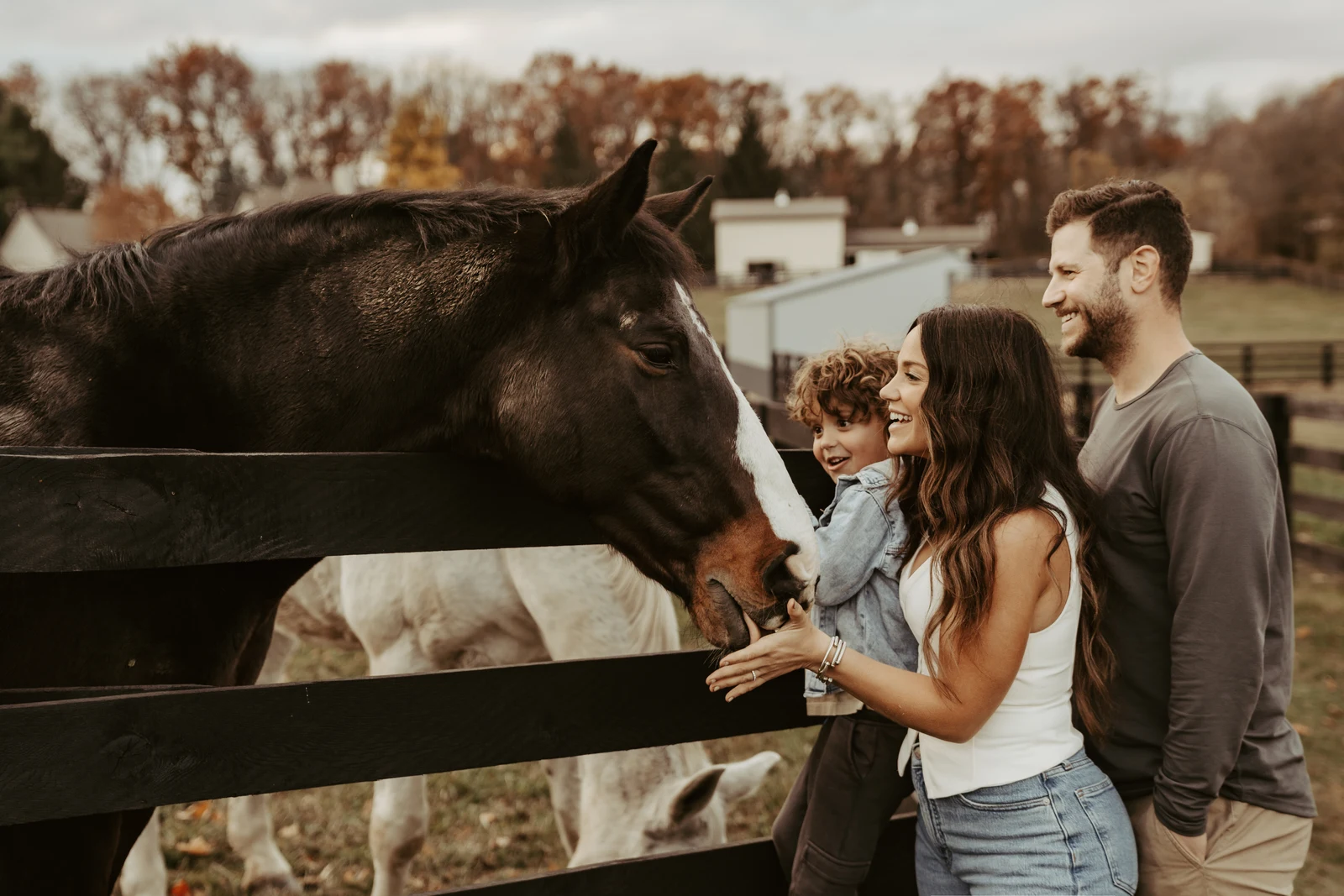 A family with a young child feeding a horse beside a fence in autumn.